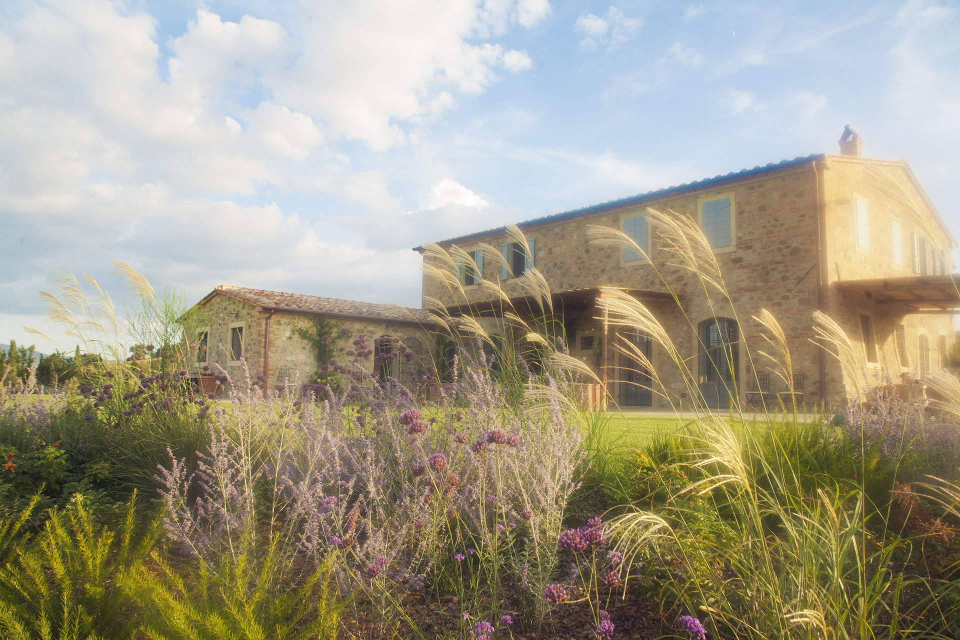 Memoscape_Giardino in Val d'Orcia_ Miscanthus al vento
