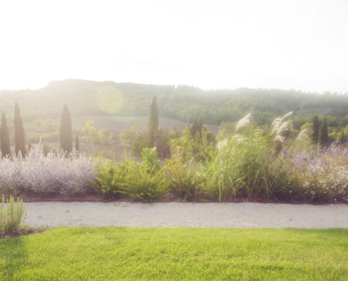 Memoscape_Giardino in Val d'Orcia_Colori nel paesaggio_