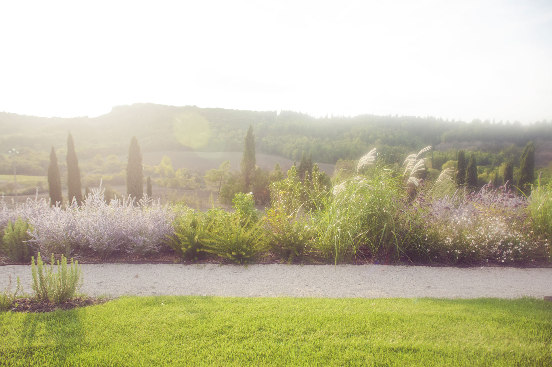 Memoscape_Giardino in Val d'Orcia_Colori nel paesaggio_
