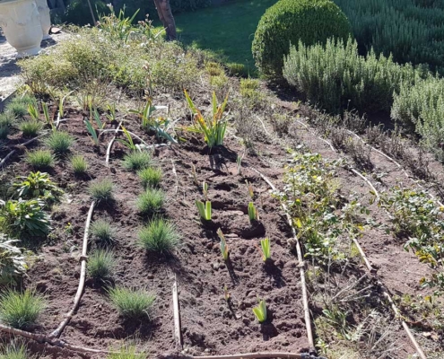 Memoscape landscape design_Work-in-progress_05