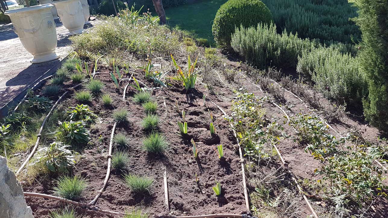 Memoscape landscape design_Work-in-progress_05