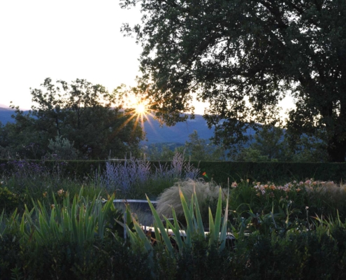 Memoscape_Giardino-dei-fiori_Flower Garden05