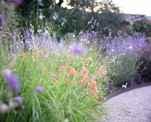 Memoscape_Giardino-dei-fiori_Flower-Garden04