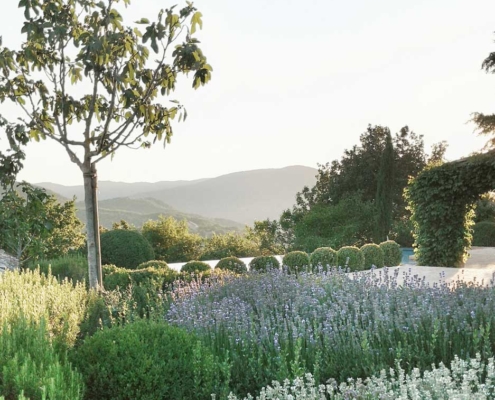 Memoscape_Giardino-dei-fiori_Lavender-Garden02