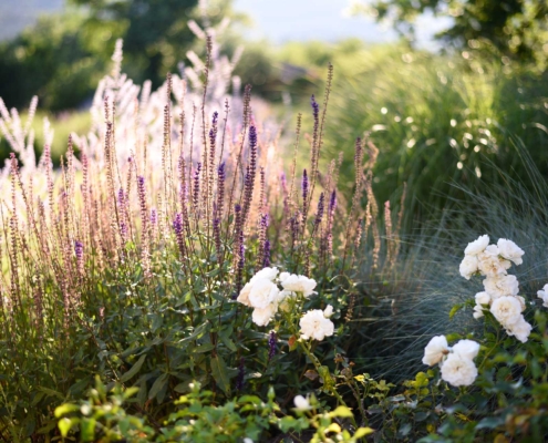 Memoscape_Giardino-dei-fiori_Wave-Garden03