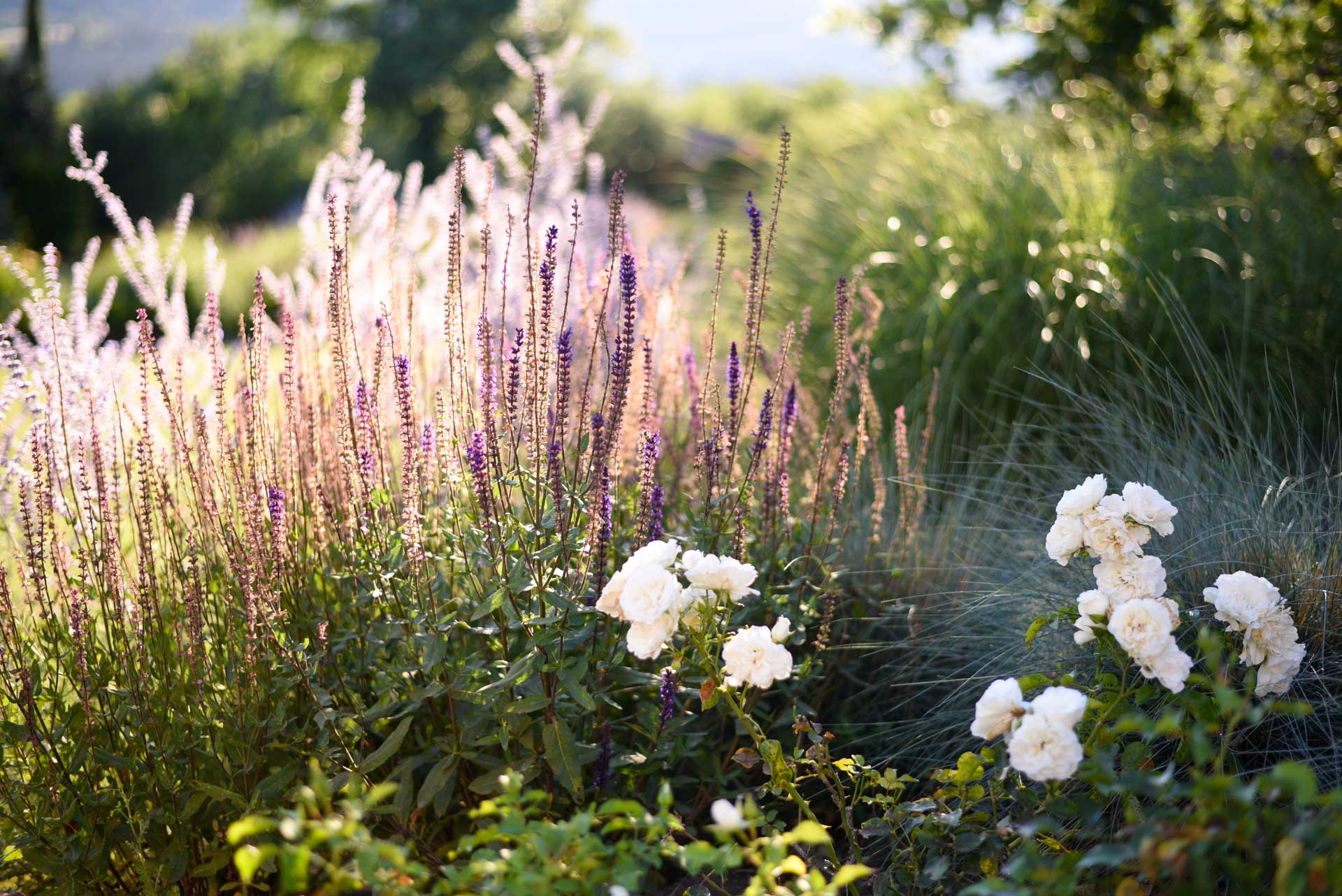 Memoscape_Giardino-dei-fiori_Wave-Garden03