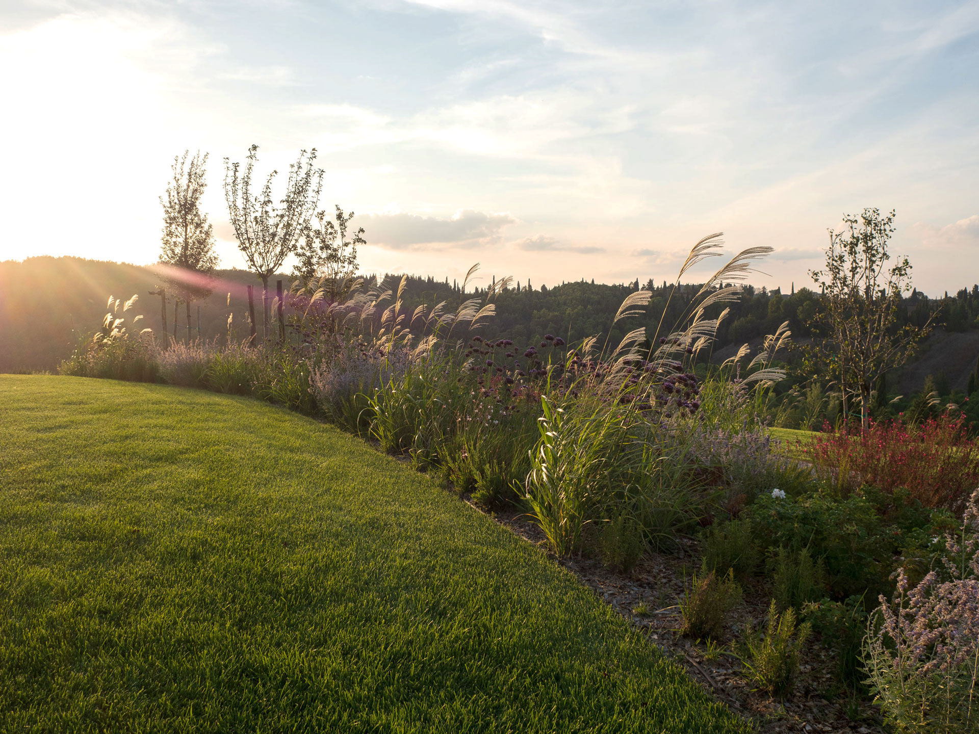 Memoscape_Giardino in Val d'Orcia_Il bordo fiorito