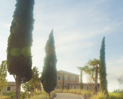 Memoscape_Giardino in Val d'Orcia_Viale di cipressi