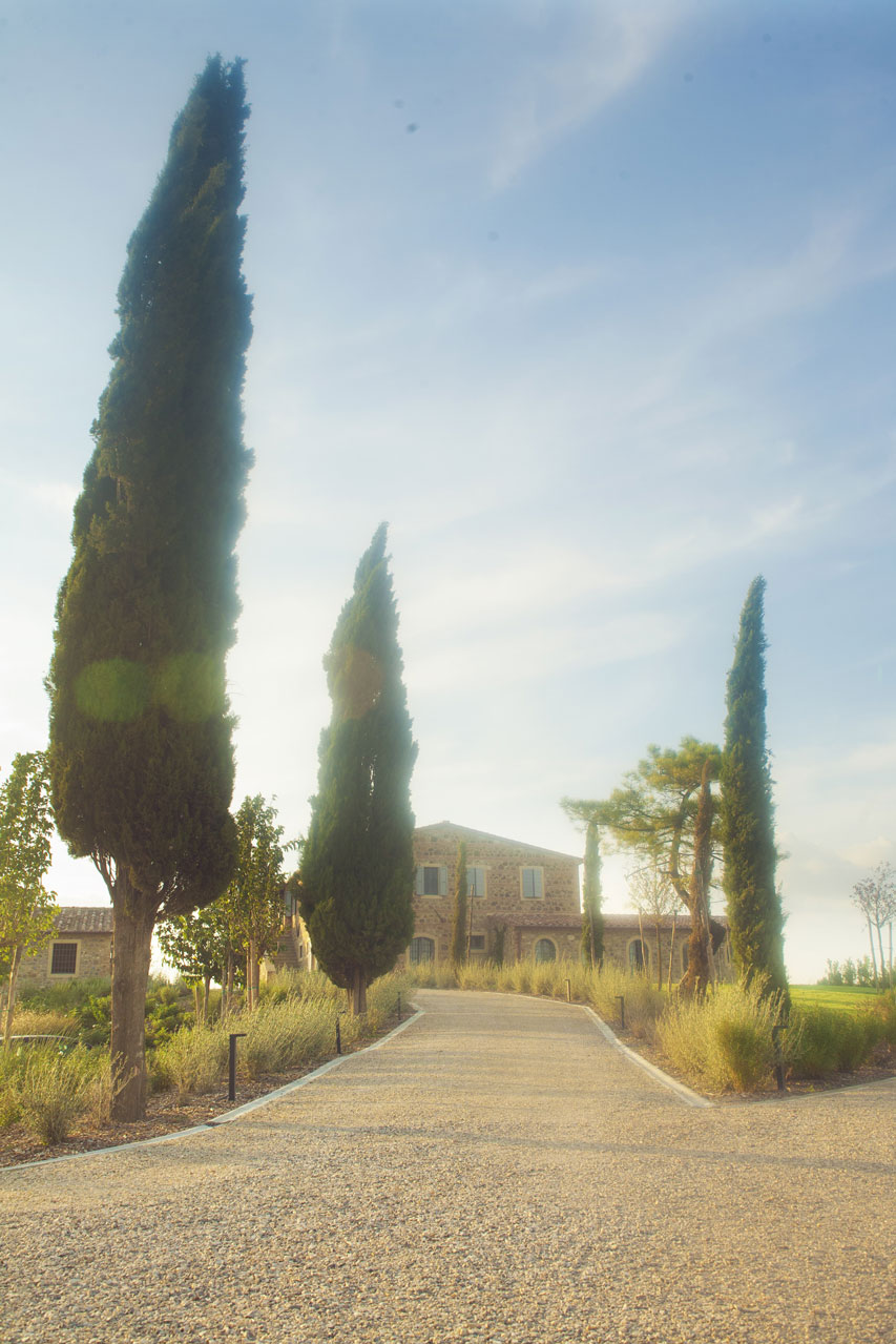Memoscape_Giardino in Val d'Orcia_Viale di cipressi