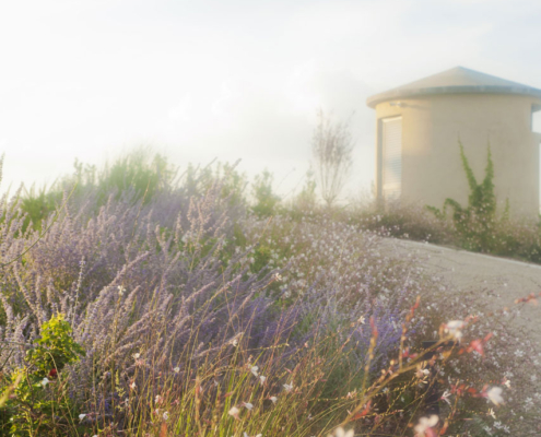 Memoscape_Giardino in Val d'Orcia _Verso la piscina