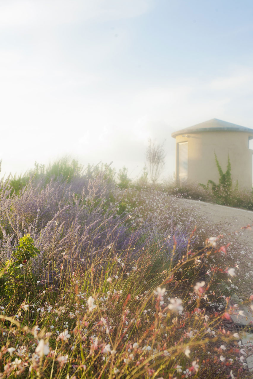 Memoscape_Giardino in Val d'Orcia _Verso la piscina