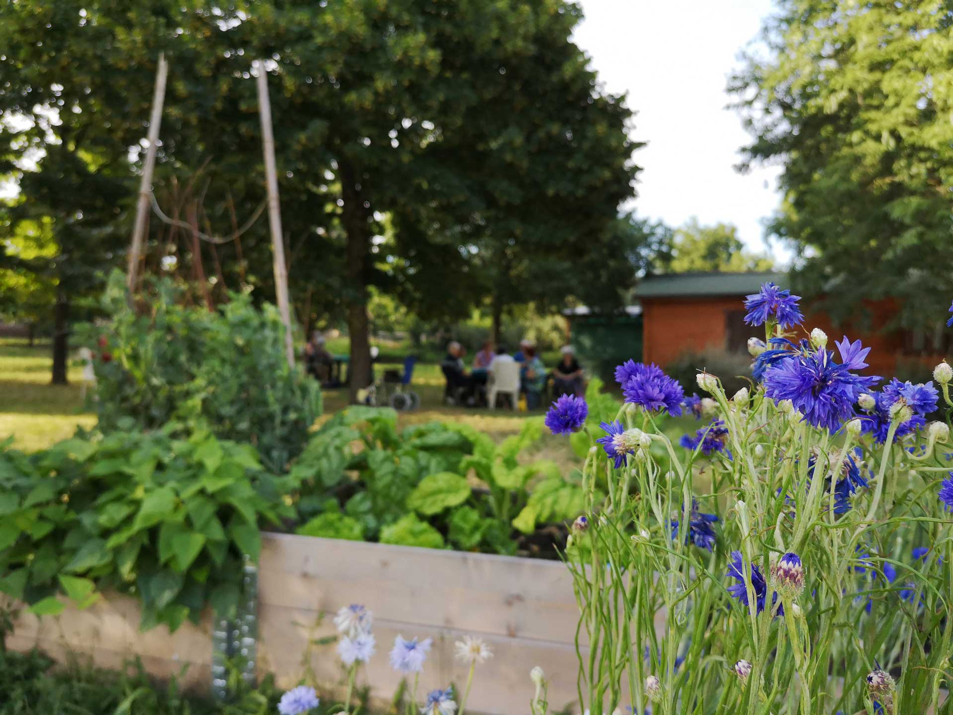 Memoscape landscape design_Le-Cure-dell-Horto_06