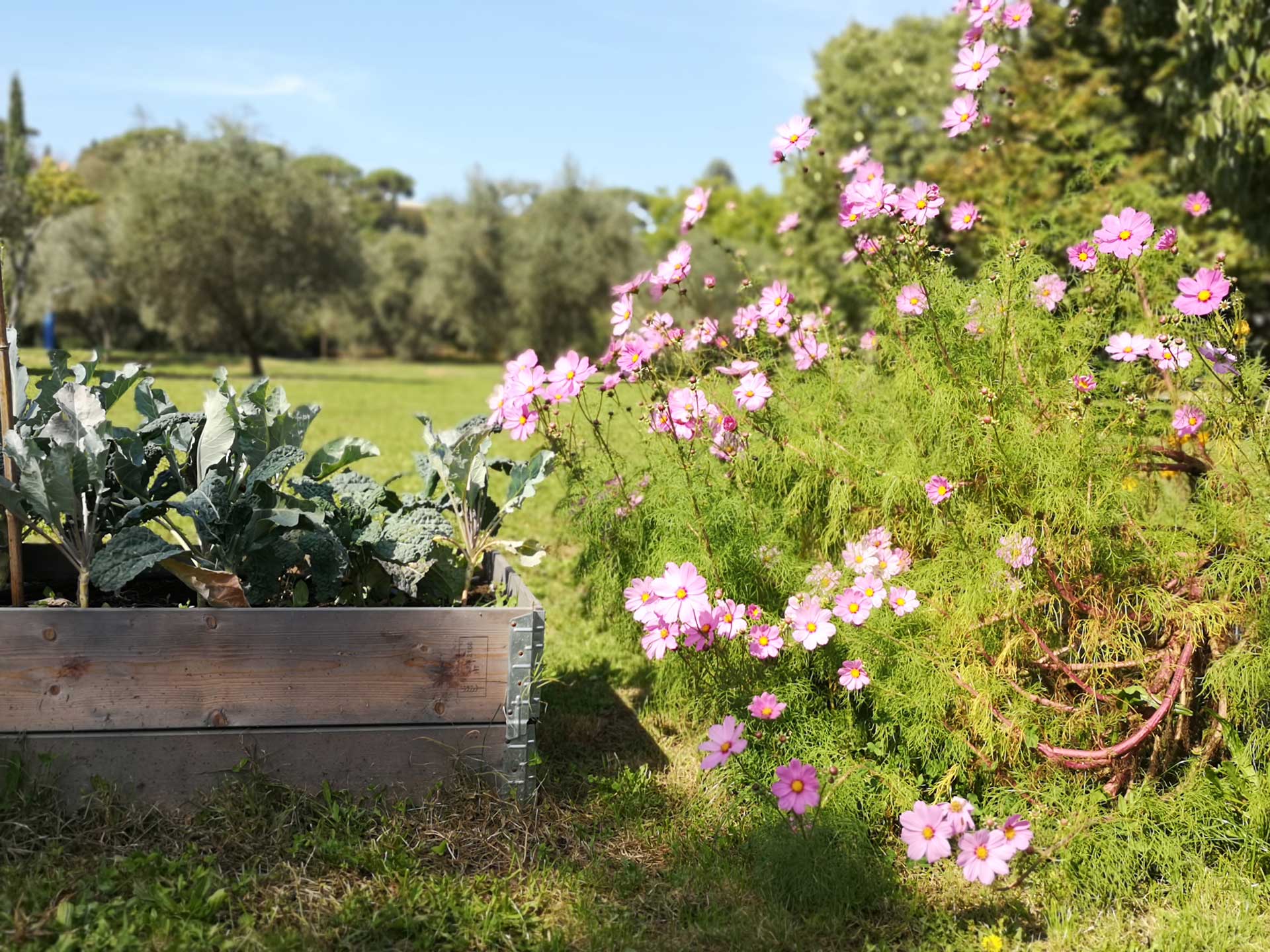 Memoscape landscape design_Le-Cure-dell-Horto_010