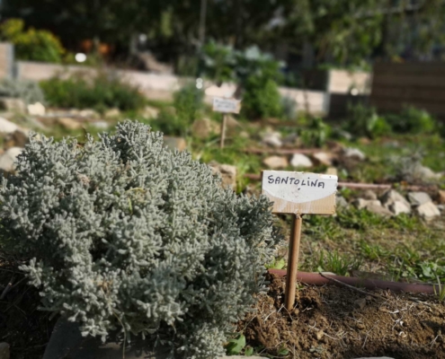 Memoscape landscape design_Le-Cure-dell-Horto_011