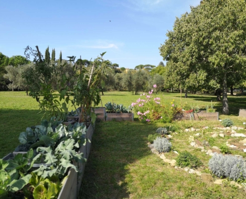 Memoscape landscape design_Le-Cure-dell-Horto_013