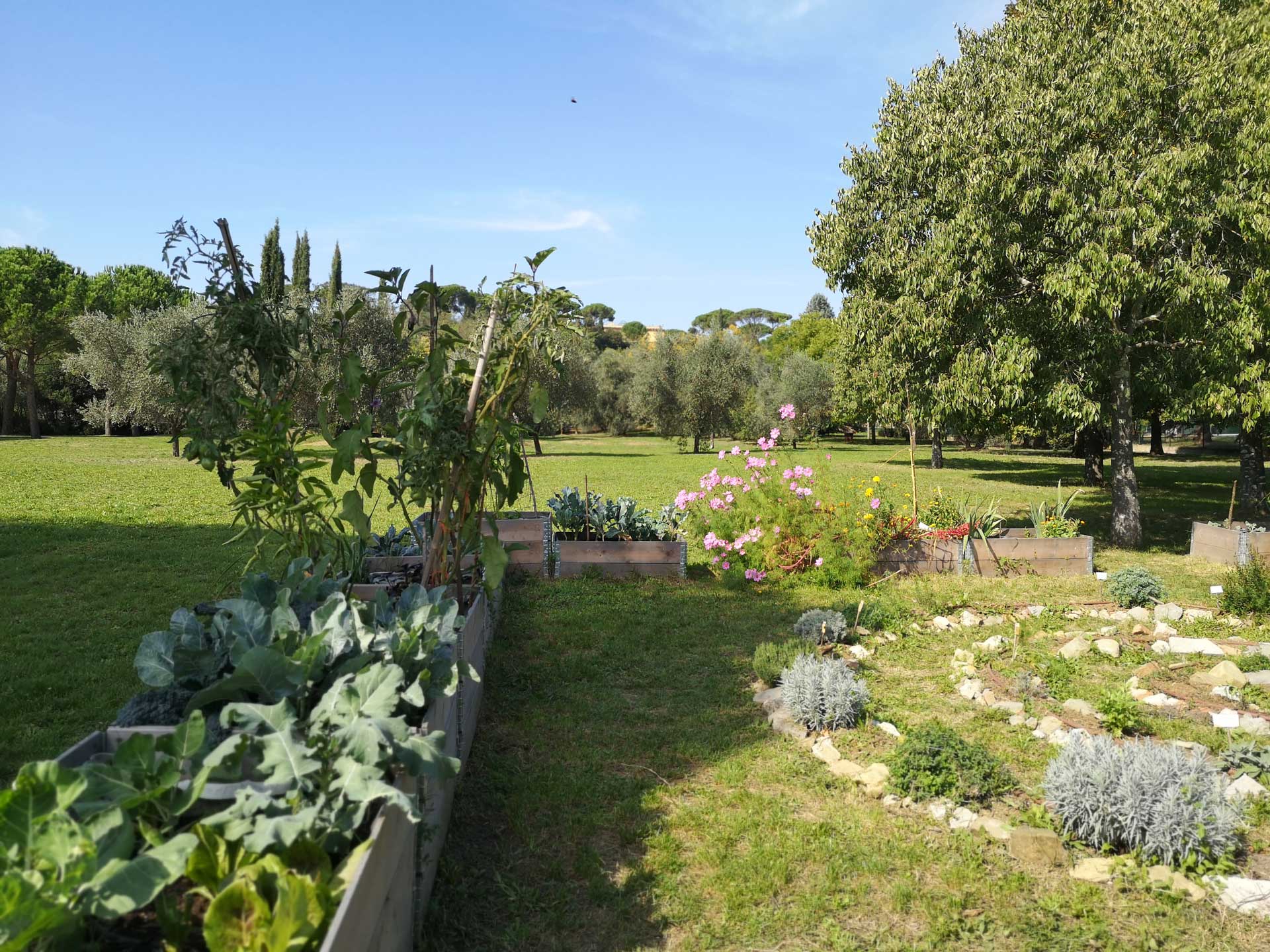 Memoscape landscape design_Le-Cure-dell-Horto_013