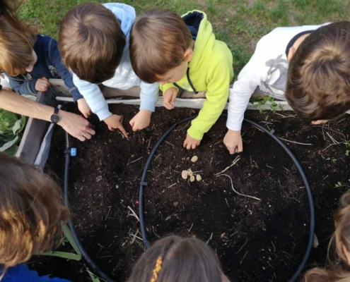 Memoscape landscape design_Le-Cure-dell-Horto_014