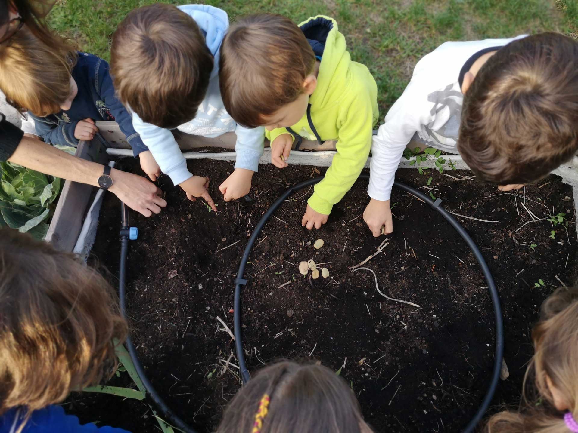 Memoscape landscape design_Le-Cure-dell-Horto_014