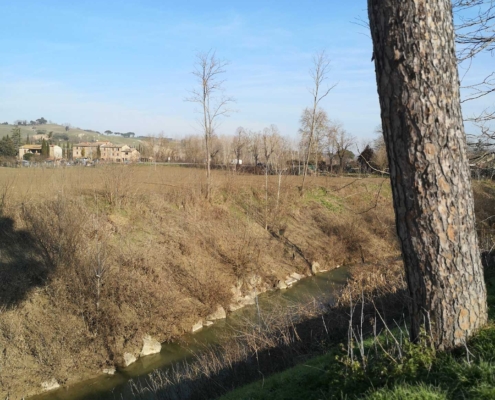 Memoscape design_Parco-Buoncovento_fiume-ombrone