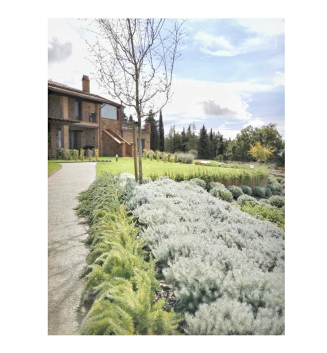 Memoscape landscape design_Giardino-delle-5-querce-15