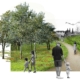 Memoscape landscape design_Parco-Buoncovento_vista-parco